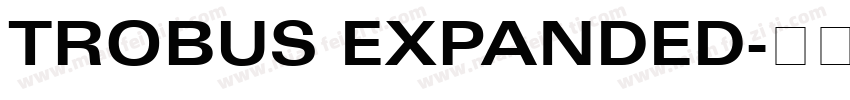 TROBUS EXPANDED字体转换